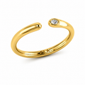 Arc Ring
